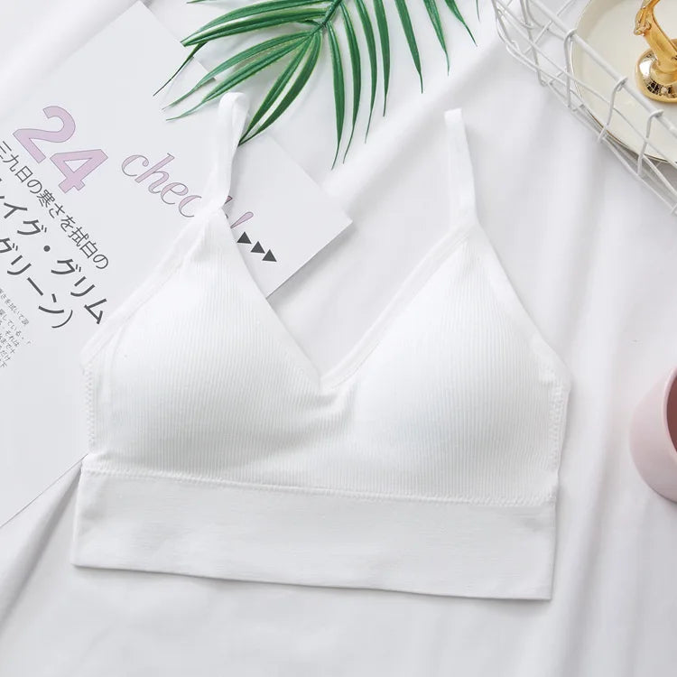 Cami Crop Sports Bra