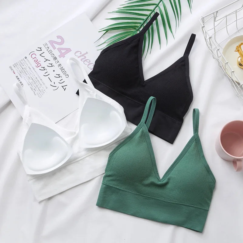 Cami Crop Sports Bra
